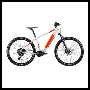 Ricambi E-Bike